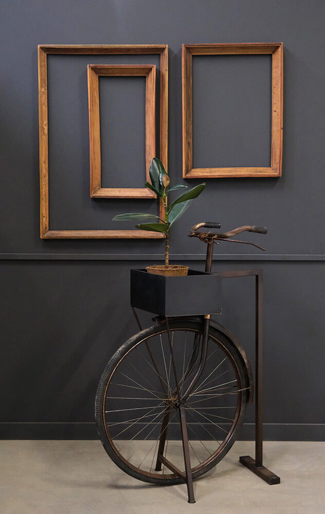 Vingegaard cykelfront med kasse