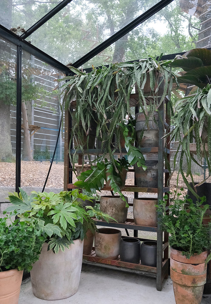 Franklyn reol - 5 hylder